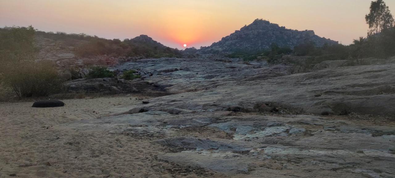 White Sand هامبي المظهر الخارجي الصورة